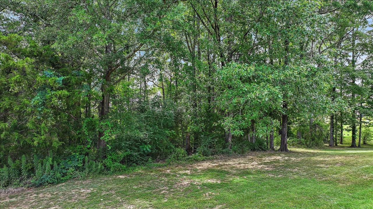 Wooded lot at 103 Ashton Place