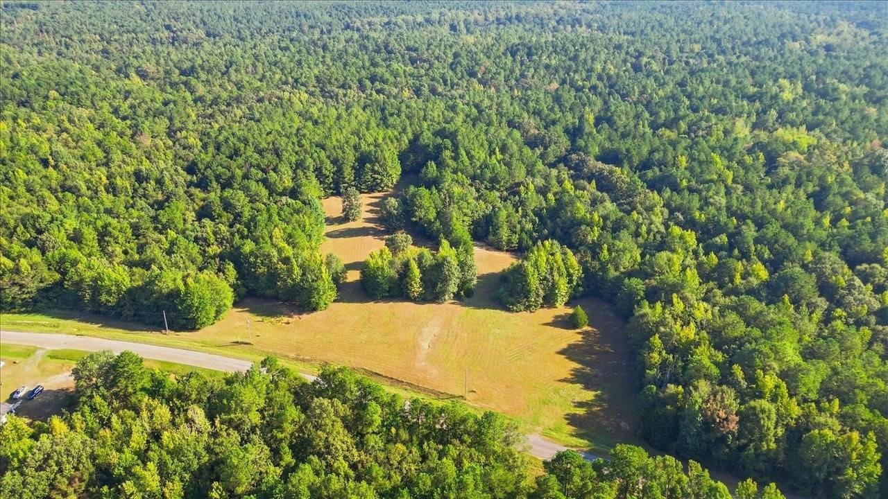Property at 0 Damascus Church Road, Carthage, MS 39051